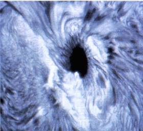 第2図　水素Hα線で見た黒点付近の単色像（ビッグベア太陽天文台）