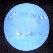 第4図　太陽全面のマグネトグラム（キットピーク国立天文台）